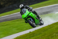 PJ-Motorsport-Photography-2020;anglesey;brands-hatch;cadwell-park;croft;donington-park;enduro-digital-images;event-digital-images;eventdigitalimages;mallory;no-limits;oulton-park;peter-wileman-photography;racing-digital-images;silverstone;snetterton;trackday-digital-images;trackday-photos;vmcc-banbury-run;welsh-2-day-enduro